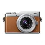 Panasonic Lumix DC-GX800 Chocolat + 12-32 mm