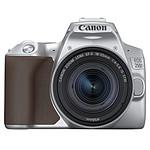 Canon EOS 250D Argent + 18-55 IS STM Argent