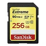 SanDisk Carte mémoire SDXC Extreme UHS-1 U3 V30 256 Go