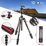 Manfrotto Befree GT - MKBFRTC4GT-BH Carbone/Noir